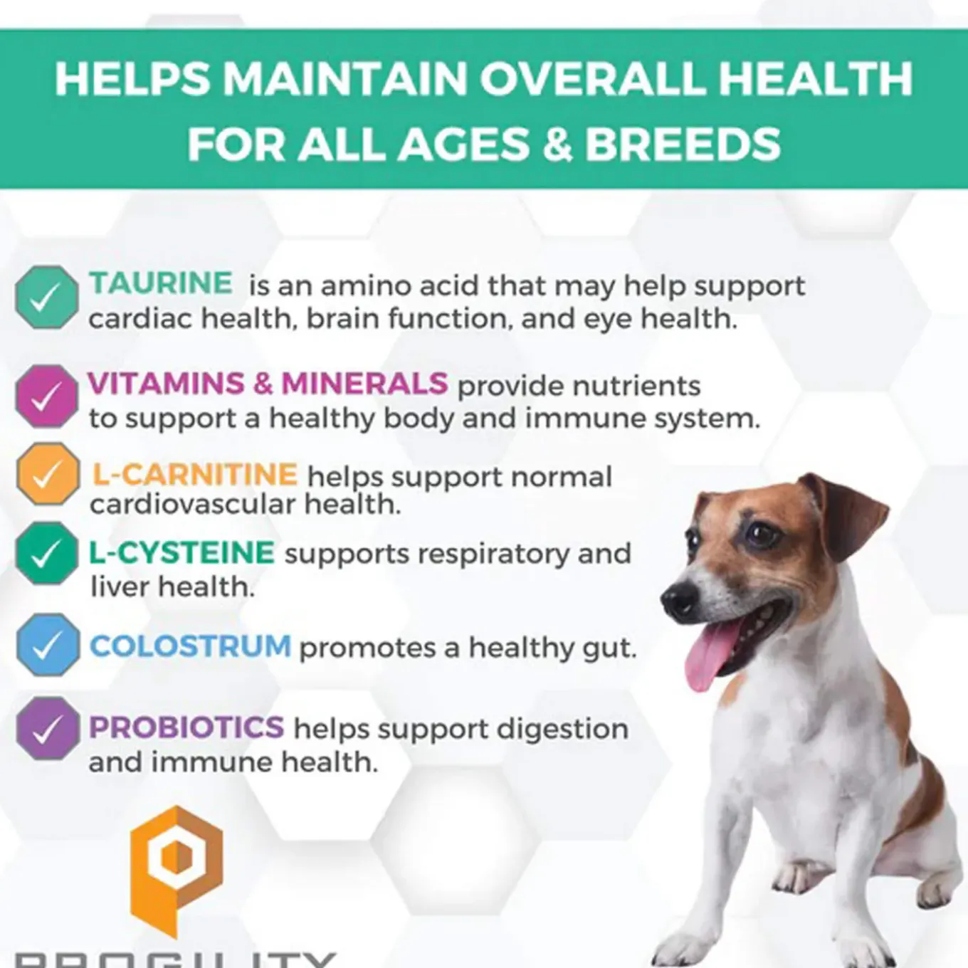 Nootie Progility Multivitamin Supplement for Dogs