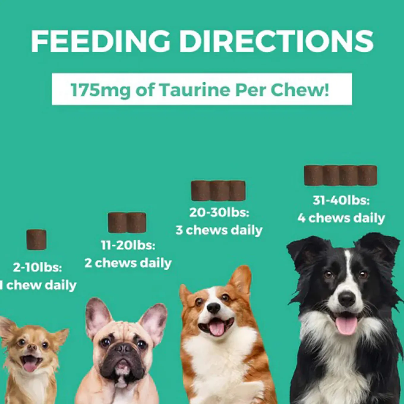 Nootie Progility Multivitamin Supplement for Dogs