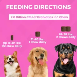 Nootie Progility Pre & Probiotics Supplement for Dogs