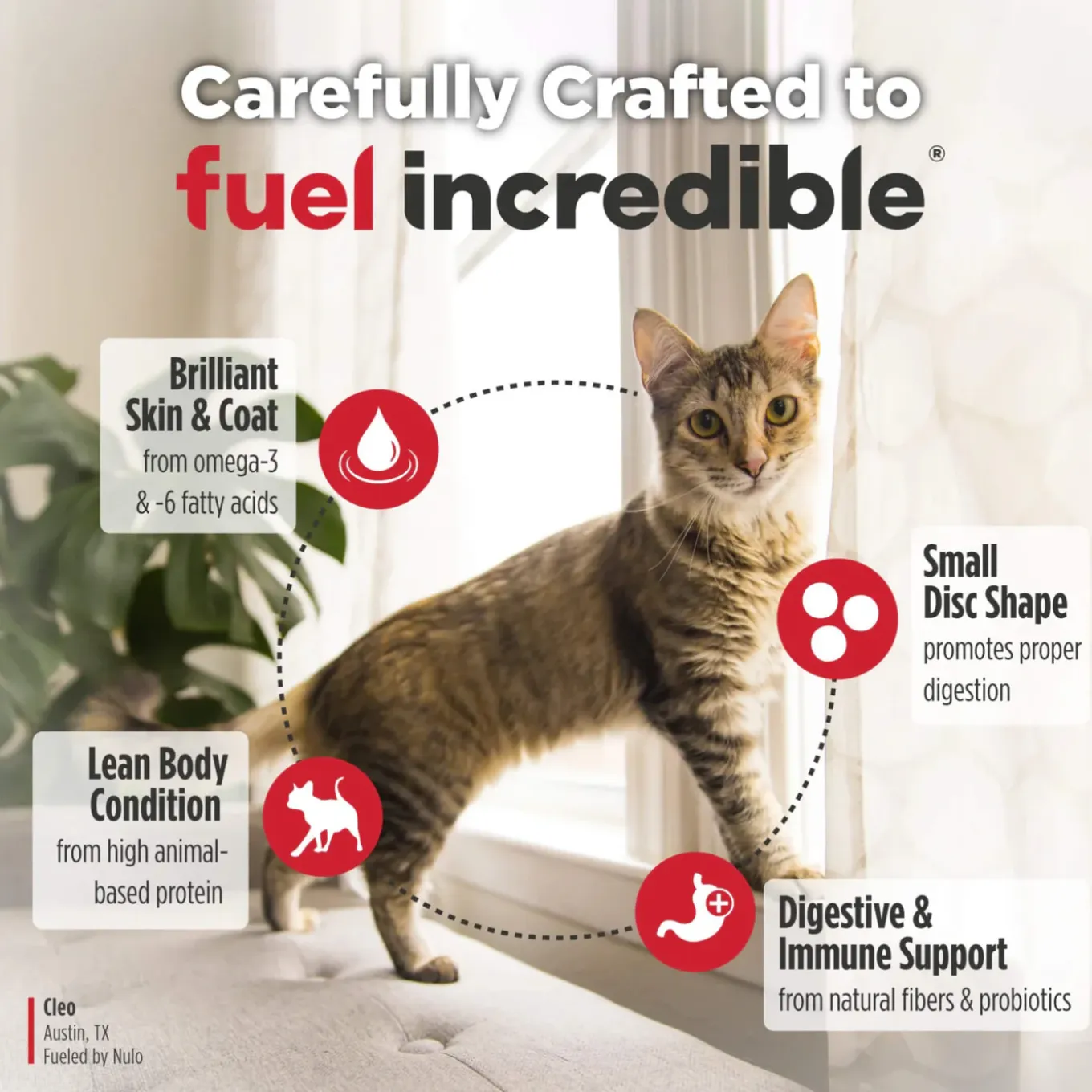 Nulo Freestyle Grain-Free Dry Cat Food