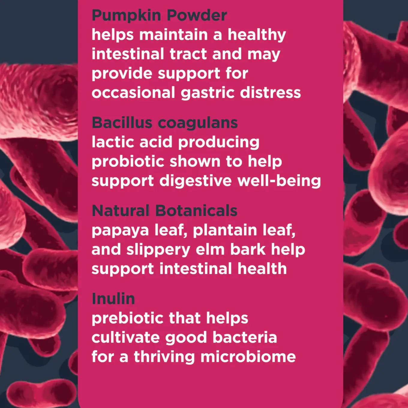 Nulo Functional Probiotic Soft Chew Supplements for Dogs