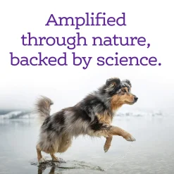 NutriSource Amplifull Calming Soft Chews for Dogs
