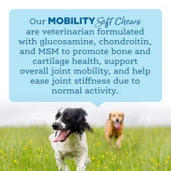 NutriSource Amplifull Mobility Soft Chews for Dogs