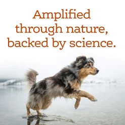 NutriSource Amplifull Multivitamin Soft Chews for Dogs