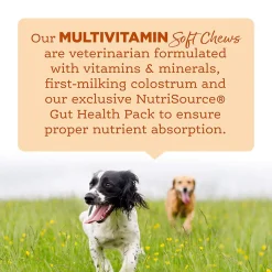 NutriSource Amplifull Multivitamin Soft Chews for Dogs