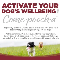 Nutrisource Come-pooch-a Bone Broth Dog Food Topper