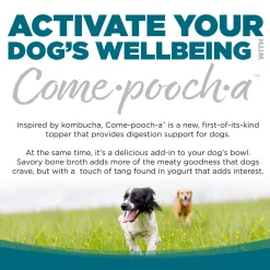 Nutrisource Come-pooch-a Bone Broth Dog Food Topper