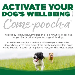 Nutrisource Come-pooch-a Bone Broth Dog Food Topper