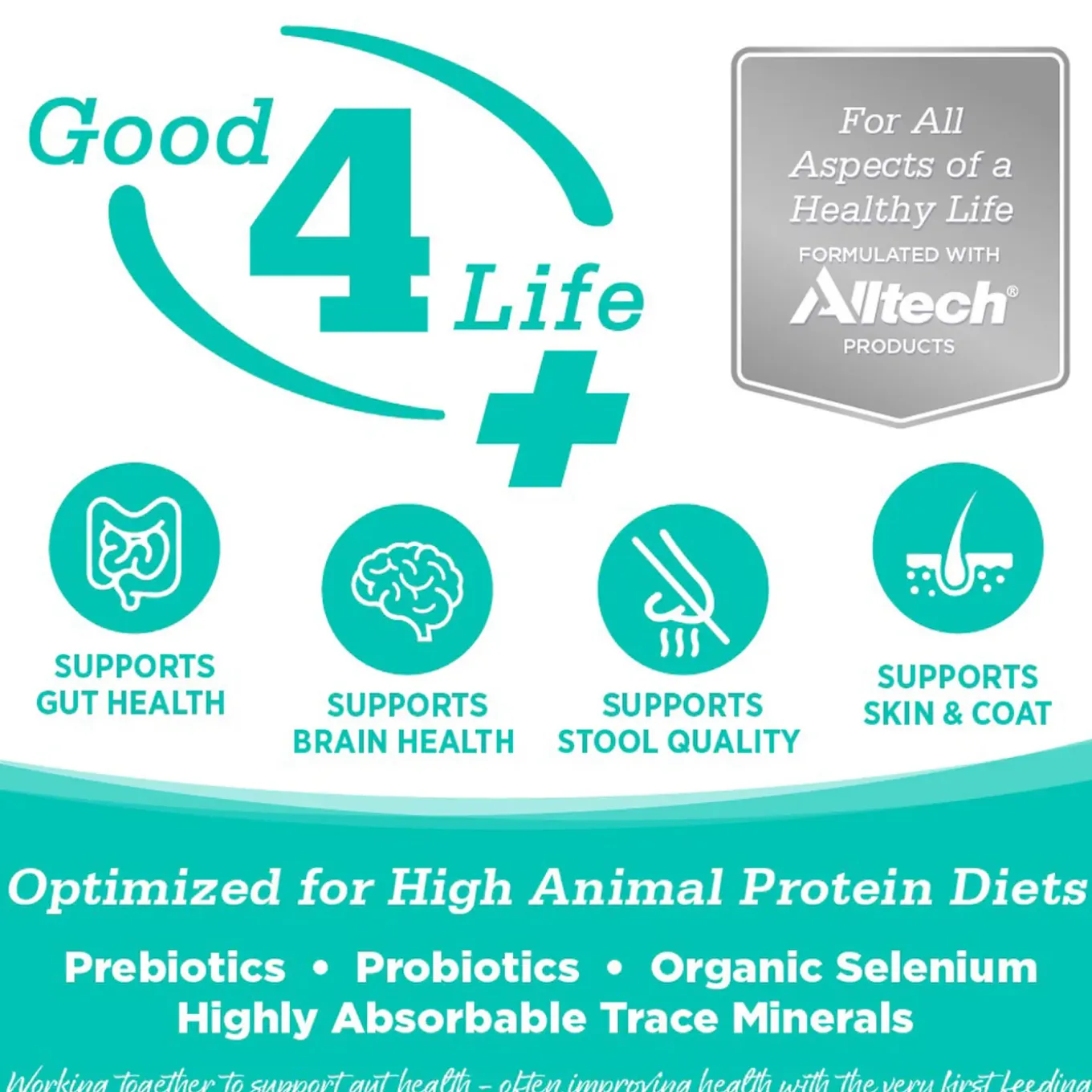 Nutrisource Grain Free Dry Cat Food