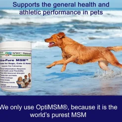 NWC Naturals Ultra-Pure MSM
