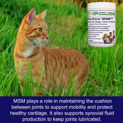 NWC Naturals Ultra-Pure MSM