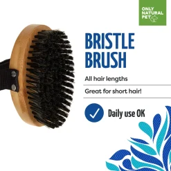 Only Natural Pet Bristle Brush with Bamboo Handle for Dogs