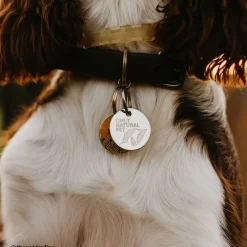 Only Natural Pet Easy Defense Flea & Tick Tag for Dogs & Cats