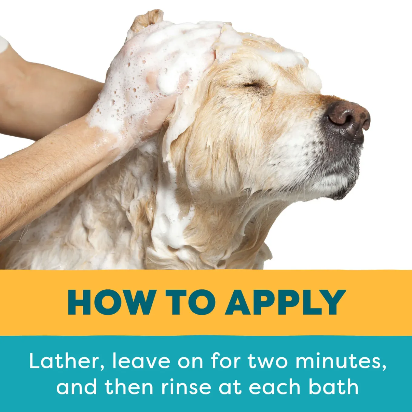 Only Natural Pet EasyDefense Flea & Tick Shampoo for Dogs & Cats