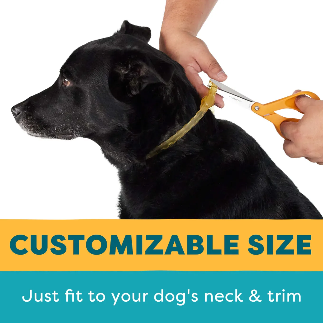 Only Natural Pet EasyDefense Flea & Tick Collar for Dogs