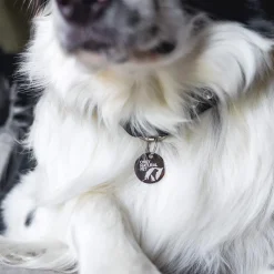Only Natural Pet Flea & Tick Kits for Dogs