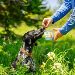 Only Natural Pet Flea & Tick Kits for Dogs