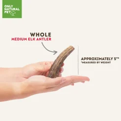 Only Natural Pet Medium Whole Elk Antler for Dogs