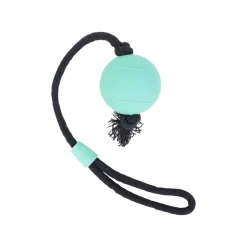 Only Natural Pet Natural Rubber Bond Building Fetch and Tug Dog Toys