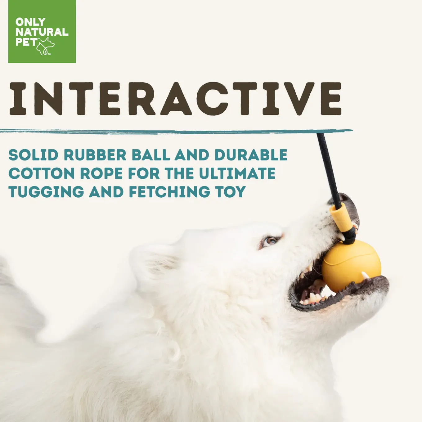 Only Natural Pet Natural Rubber Bond Building Fetch and Tug Dog Toys