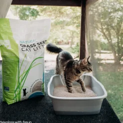 Only Natural Pet Non GMO Fast Clumping Grass Seed Cat Litter