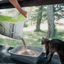 Only Natural Pet Non GMO Fast Clumping Grass Seed Cat Litter