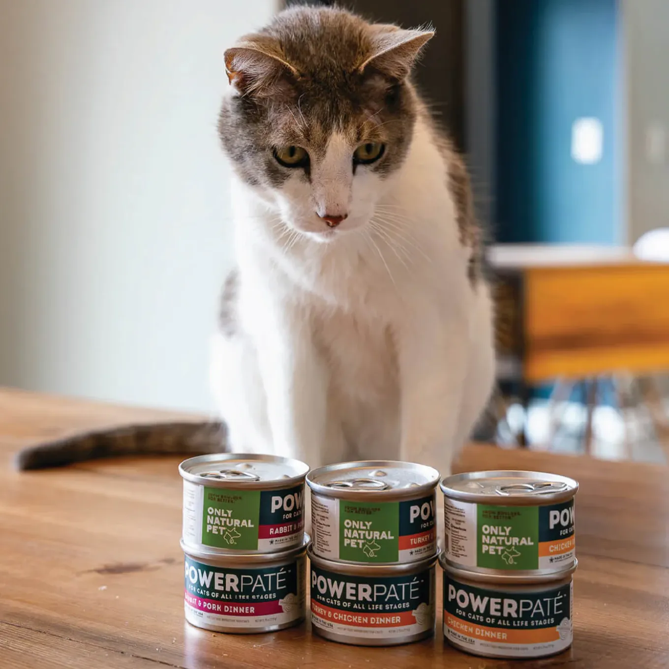 Only Natural Pet PowerPate Grain-Free Wet Cat Food
