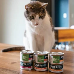 Only Natural Pet PowerPate Grain-Free Wet Cat Food