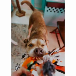 Only Natural Pet Sea Creatures Recycled Plush Dog Toys