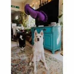 Only Natural Pet Sea Creatures Recycled Plush Dog Toys