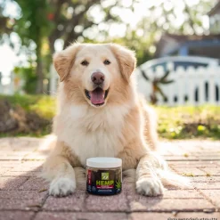 Only Natural Pet Hemp Advanced Hip & Joint Supplement for Dogs 60 Count