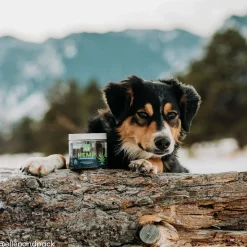 Only Natural Pet Hemp Calming Support Soft Chews for Dogs