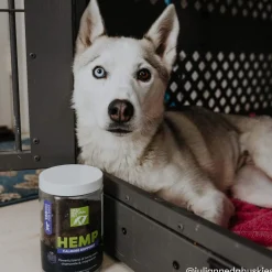 Only Natural Pet Hemp Calming Support Soft Chews for Dogs