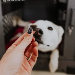 Only Natural Pet Hemp Calming Support Soft Chews for Dogs