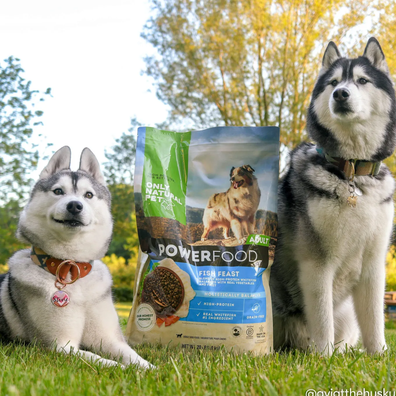 Only Natural Pet PowerFood Grain Free Dog Food