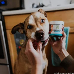 Only Natural Pet Probiotic Blend Digestive Support Soft Chews for Dogs