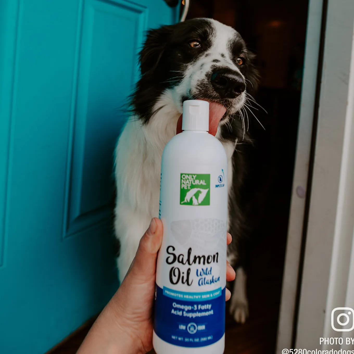 Only Natural Pet Wild Alaskan Salmon Oil Blend for Dogs & Cats