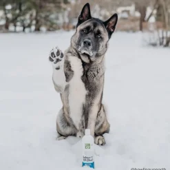 Only Natural Pet Wild Alaskan Salmon Oil Blend for Dogs & Cats