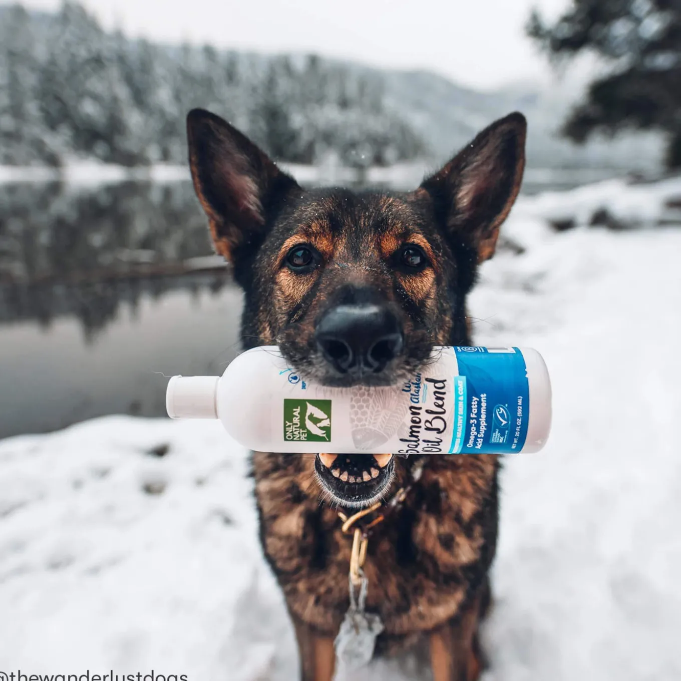 Only Natural Pet Wild Alaskan Salmon Oil Blend for Dogs & Cats