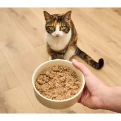 Open Farm Grain Free Wet Pate for Kittens