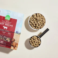 Open Farm Freeze Dried Morsels Raw Dog Food