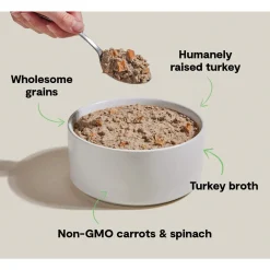 Open Farm Goodbowl Wholesome Grain Pate for Dogs