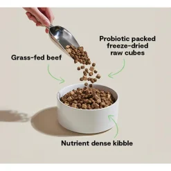 Open Farm Good Gut Kibble with Probiotics for Dogs