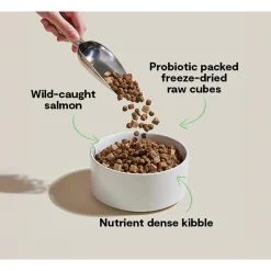 Open Farm Good Gut Kibble with Probiotics for Dogs