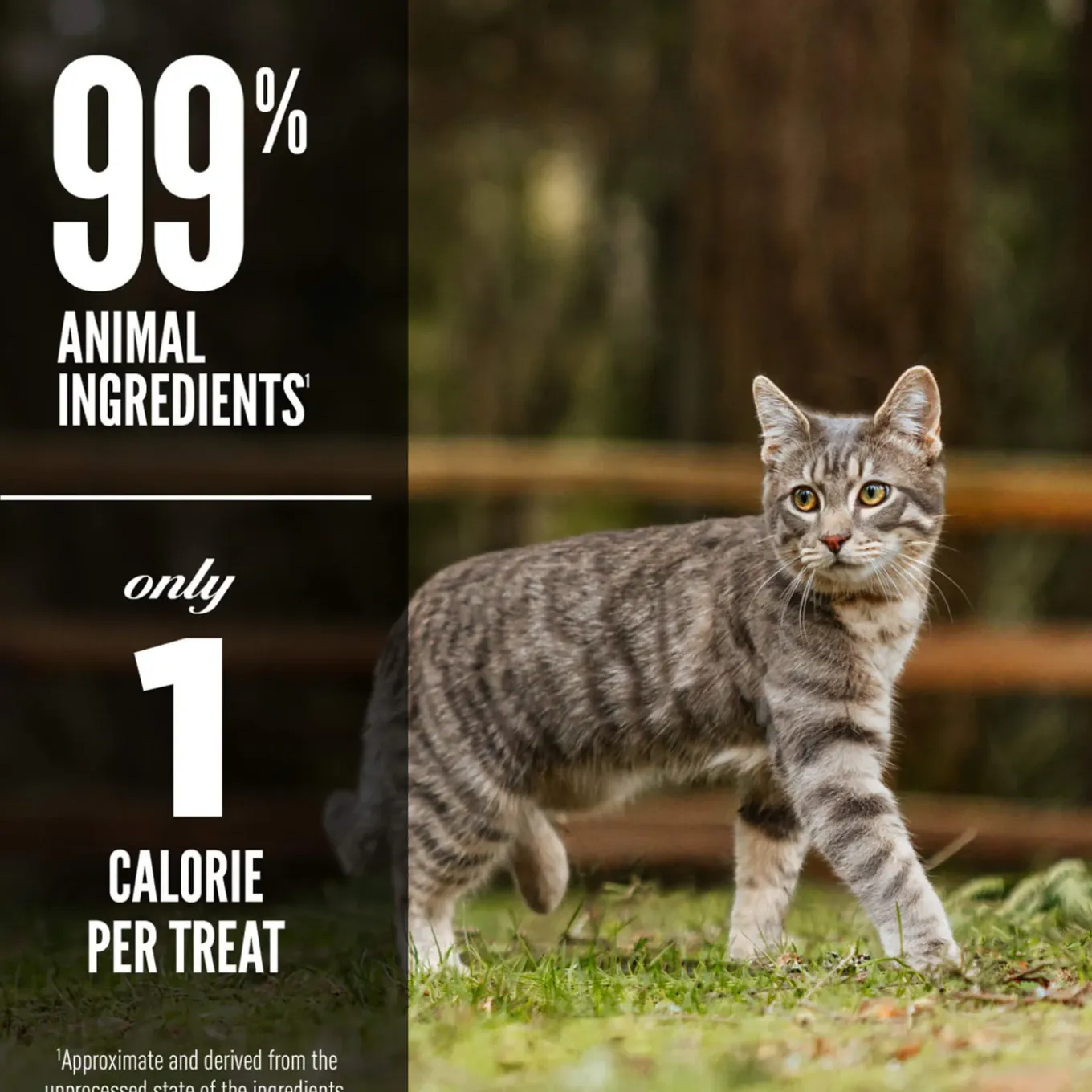 Orijen Freeze Dried Cat Treats