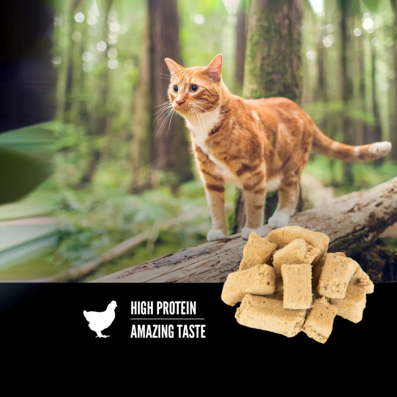 Orijen Freeze Dried Cat Treats