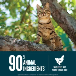 Orijen Grain Free Guardian Cat Food
