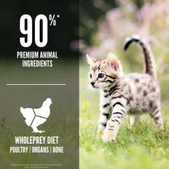 Orijen Grain Free Kitten Food