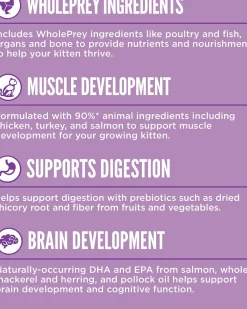 Orijen Grain Free Kitten Food