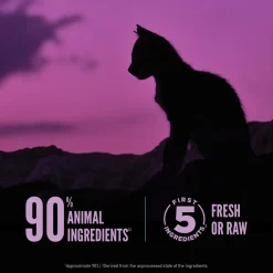 Orijen Grain Free Wild Reserve Dry Kitten Food
